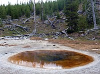 Yellowstone Old faithfull et ses environs (74).JPG